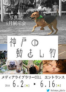 【写真部】6月展示会 「神戸の動きし物」ポスター